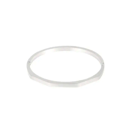 Stainless steel bangle armband zilver