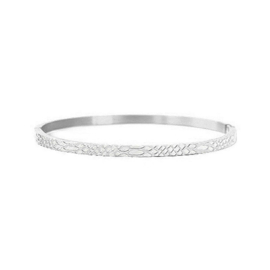 Stainless steel armband / bangle slangenprint zilver