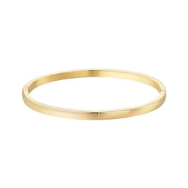 Stainless steel gladde armband / bangle goud