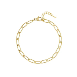 Stainless steel schakelarmband goud
