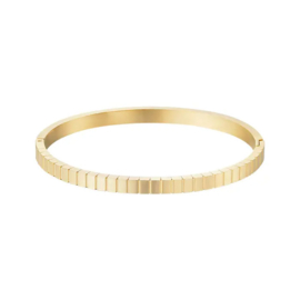 Stainless steel bangle armband streepjes goud