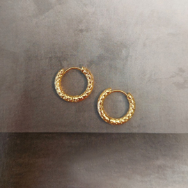Stainless steel creolen goud 17mm