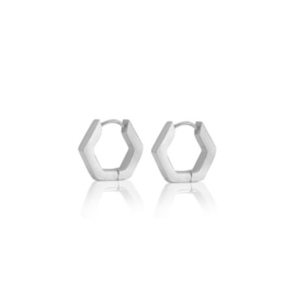 Stainless steel oorbellen hexagon zilver
