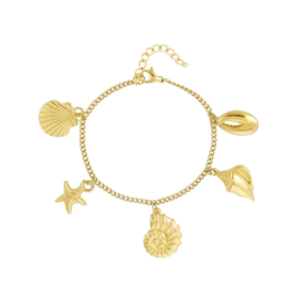 Stainless steel bedelarmband schelpen goud