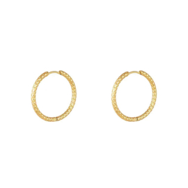 Stainless steel creolen goud 17mm
