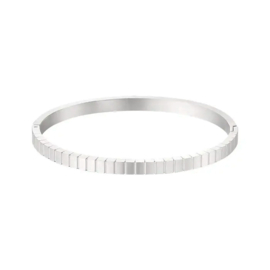 Stainless steel bangle armband streepjes zilver