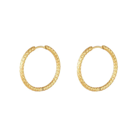 Stainless steel creolen goud 21mm
