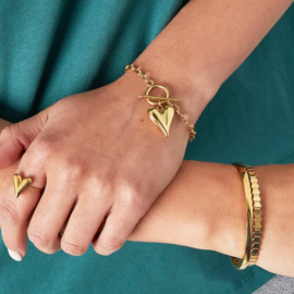 Stainless steel armband hartje goud