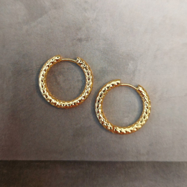 Stainless steel creolen goud 21mm