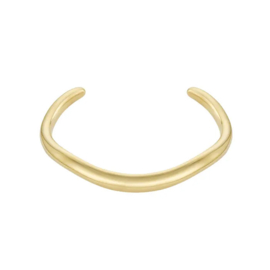 Stainless steel bangle armband wave goud