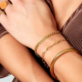 Stainless steel schakelarmband goud