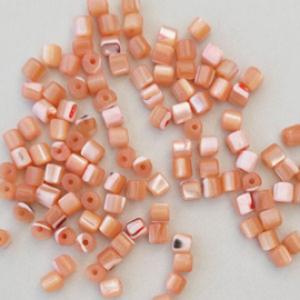 Schelp kralen tube 4x3.5mm rose peach (3 gram)