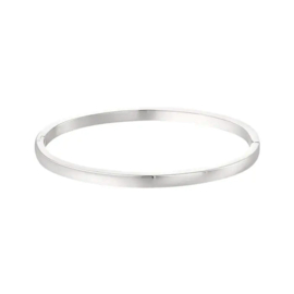Stainless steel gladde armband / bangle zilver