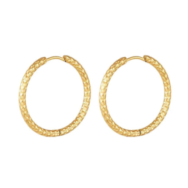 Stainless steel creolen goud 25mm