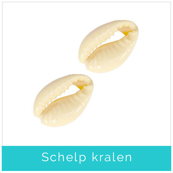 schelp kralen