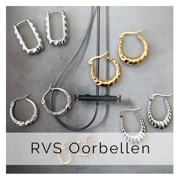 Stainless steel oorbellen bestel je bij Chalicious. Breed assortiment aan RVS oorringen, oorhangers, oorknopjes en creolen.