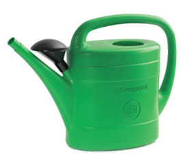 Gieter kunststof met sproeikop - 14 L - Groen