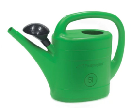 Gieter kunststof met sproeikop - 5 L - Groen