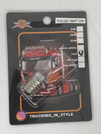 LED 1watt 24volt ROOD