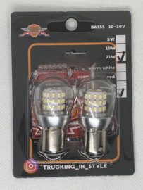 LED 21Watt 10-30V 2STUKS ICE WIT