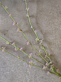 Kunsttak Spirea