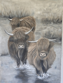 Kalkdoek met Groep Hooglanders