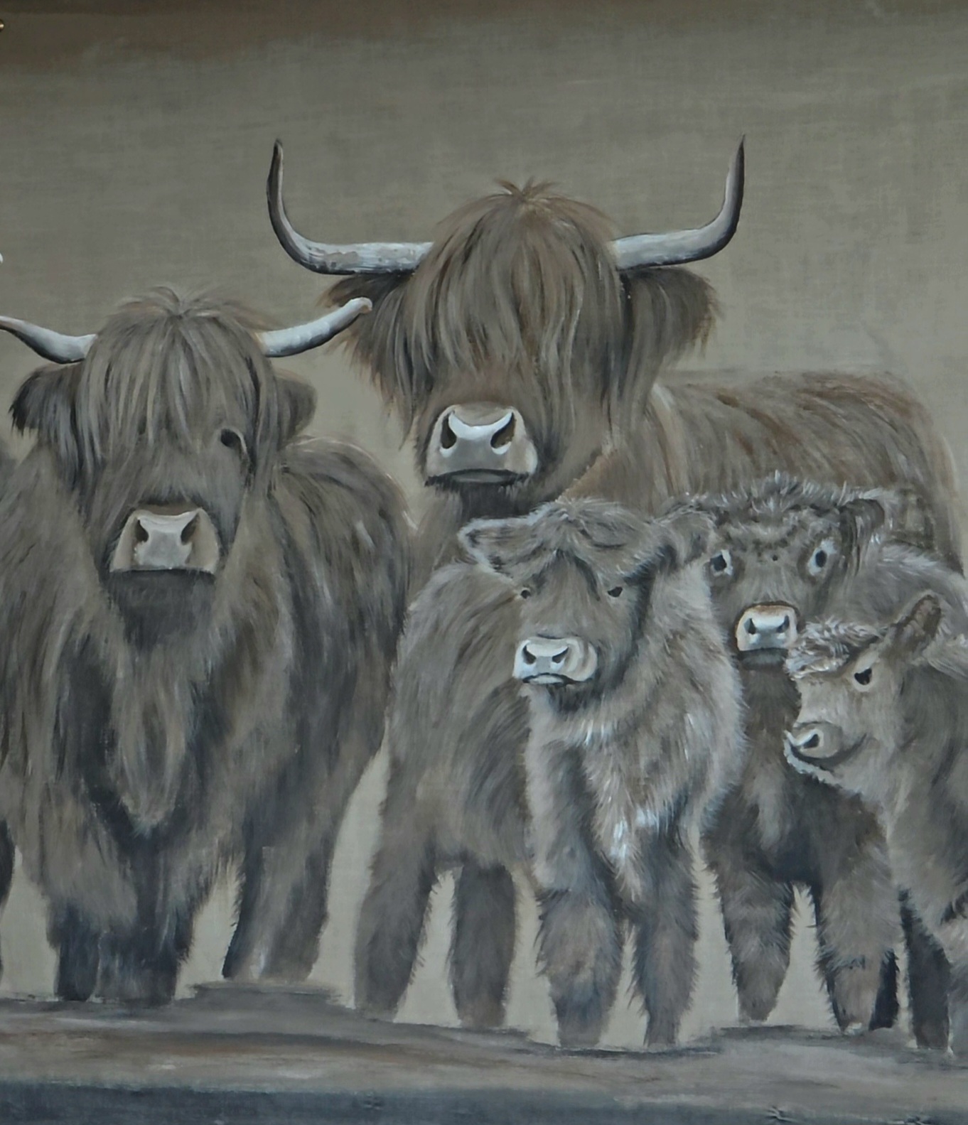 Kalkverfdoek Hooglanders XXL