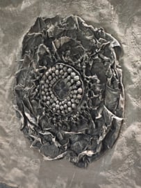 Kalkverfdoek met Ornament