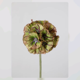 Kunsttak Scabiosa