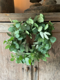Krans Eucalyptus Kunst