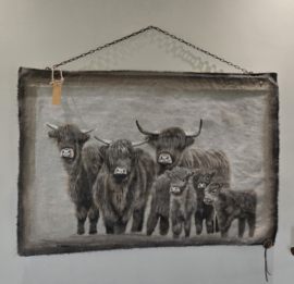 Kalkdoek Hooglanders