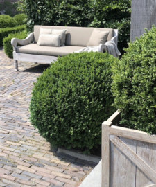 Nieuwe Outdoorcollectie Aura Peeperkorn Classic Bold en Java on Point vanaf € 935.00
