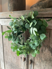 Krans Eucalyptus Kunst