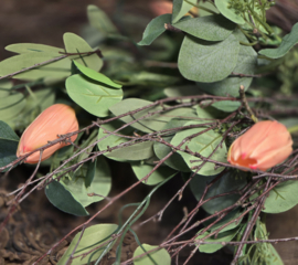 Kunstboeket met Zalmkleurige Tulpen Berk en Eucalyptus