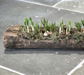Oude Houten Trog met Handvat