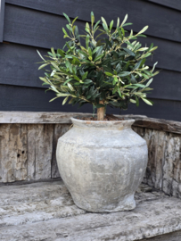 Kunst Olijfboom met echte Stam en u.v bestendig 50 cm links