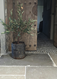 Authentieke Oude Houten Pot