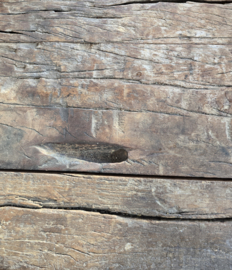 Robuuste Salontafel van Oud Doorleefd Hout