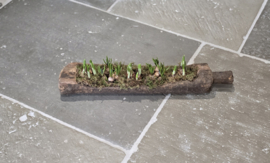 Oude Houten Trog met Handvat