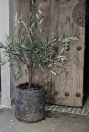 Authentieke Oude Houten Pot