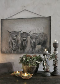 Kalkdoek Hooglanders