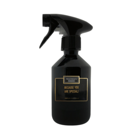 TPQ02 - Parfum d'Intérieur - Met Quote - Because you are Special - 300 ml