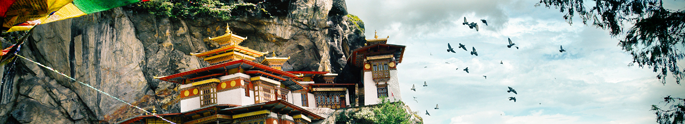 mahayana2