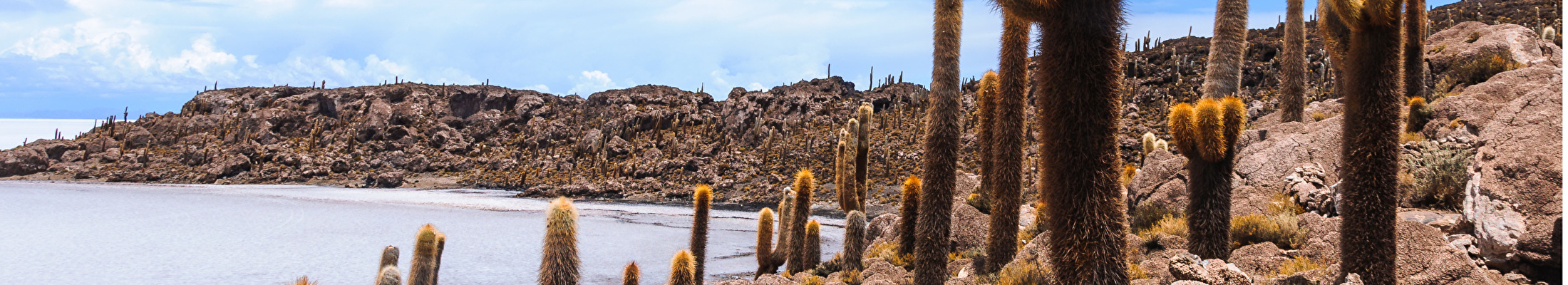 Uyuni2