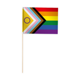 10 Papieren Vlaggen 20x30cm Pride Intersex