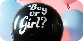 Gender Reveal