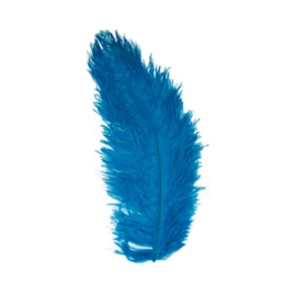 Struisveer blauw (34-38cm)