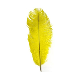 Struisveer geel (34-38cm)