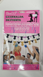 Bachelor Party Banner