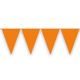Vlaggenlijn oranje (10m)